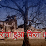 thebiharnews_in_rohtash_killa_cover